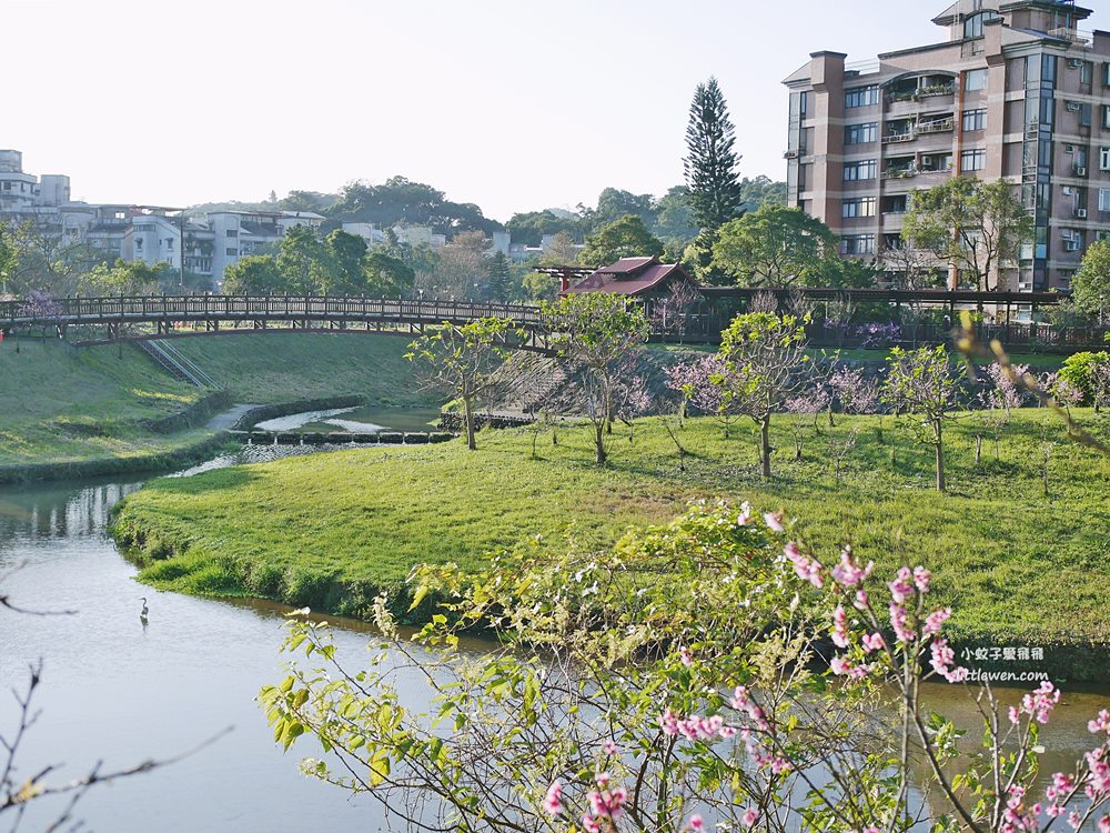 台北賞櫻景點～五分埤生態濕地內溝步道猶如世外桃源