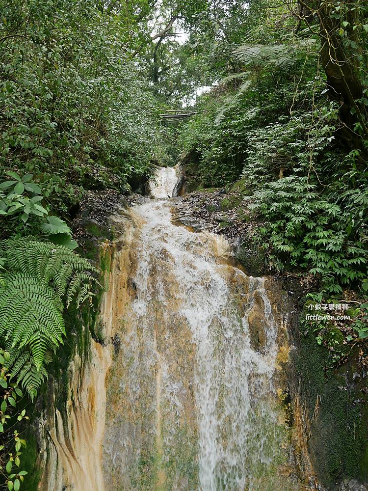 陽明山賞櫻景點～陽明山公園花鐘粉色櫻花林溪流網美必拍