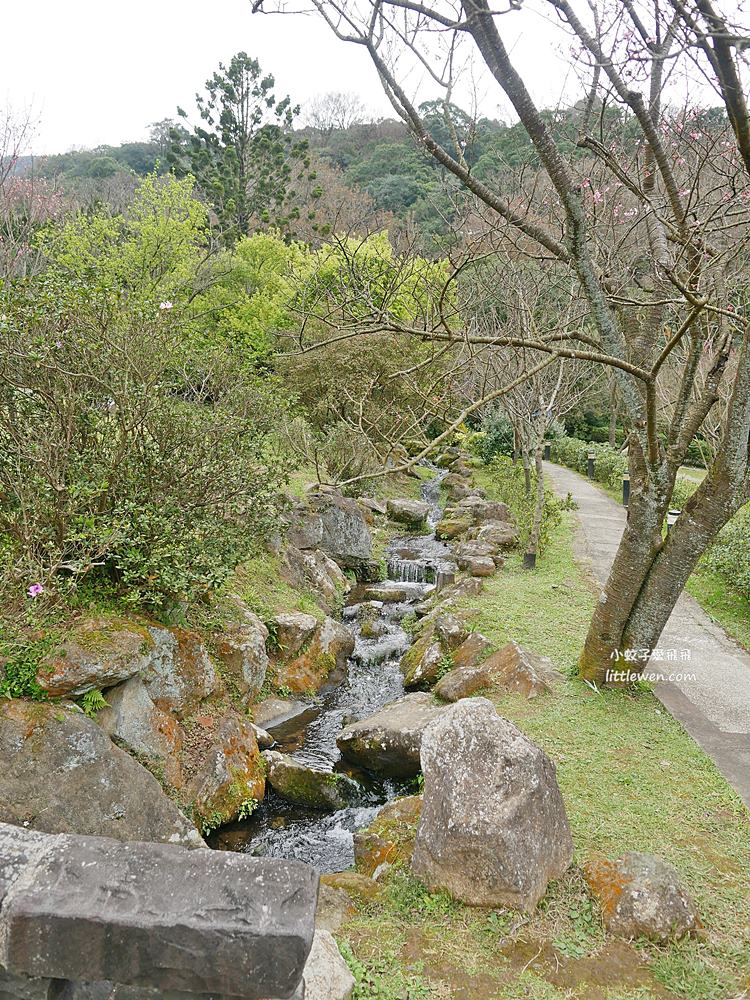 陽明山賞櫻景點～陽明山公園花鐘粉色櫻花林溪流網美必拍