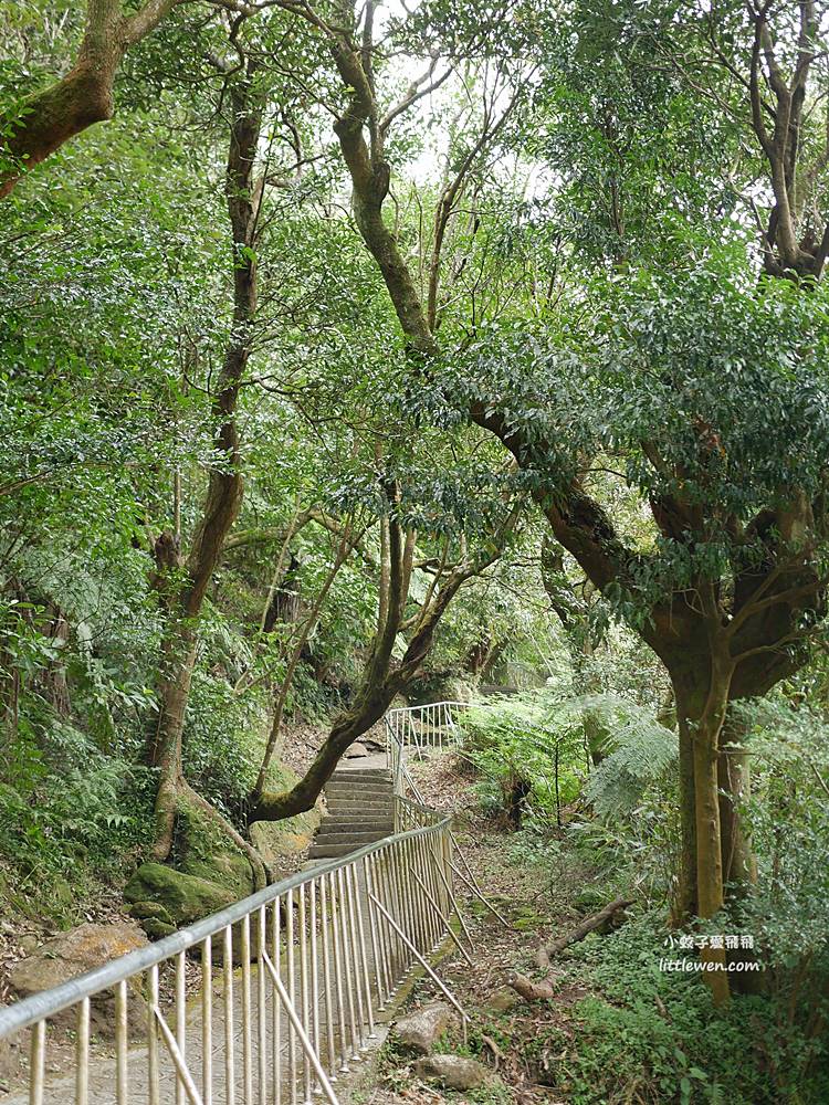 陽明山賞櫻景點～陽明山公園花鐘粉色櫻花林溪流網美必拍