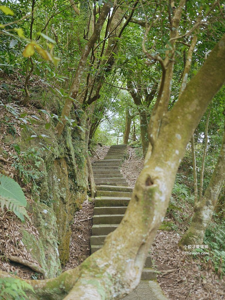 陽明山賞櫻景點～陽明山公園花鐘粉色櫻花林溪流網美必拍