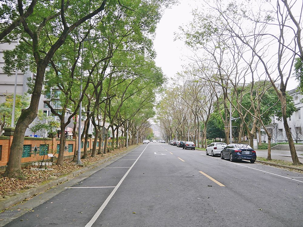 三峽賞櫻秘境｜三峽北大櫻花～臺北大學鳶飛大道、心湖櫻花林吉野櫻富士櫻河津櫻