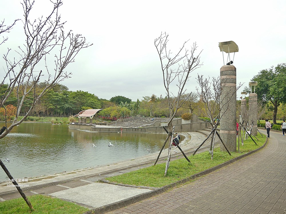 三峽賞櫻秘境｜三峽北大櫻花～臺北大學鳶飛大道、心湖櫻花林吉野櫻富士櫻河津櫻