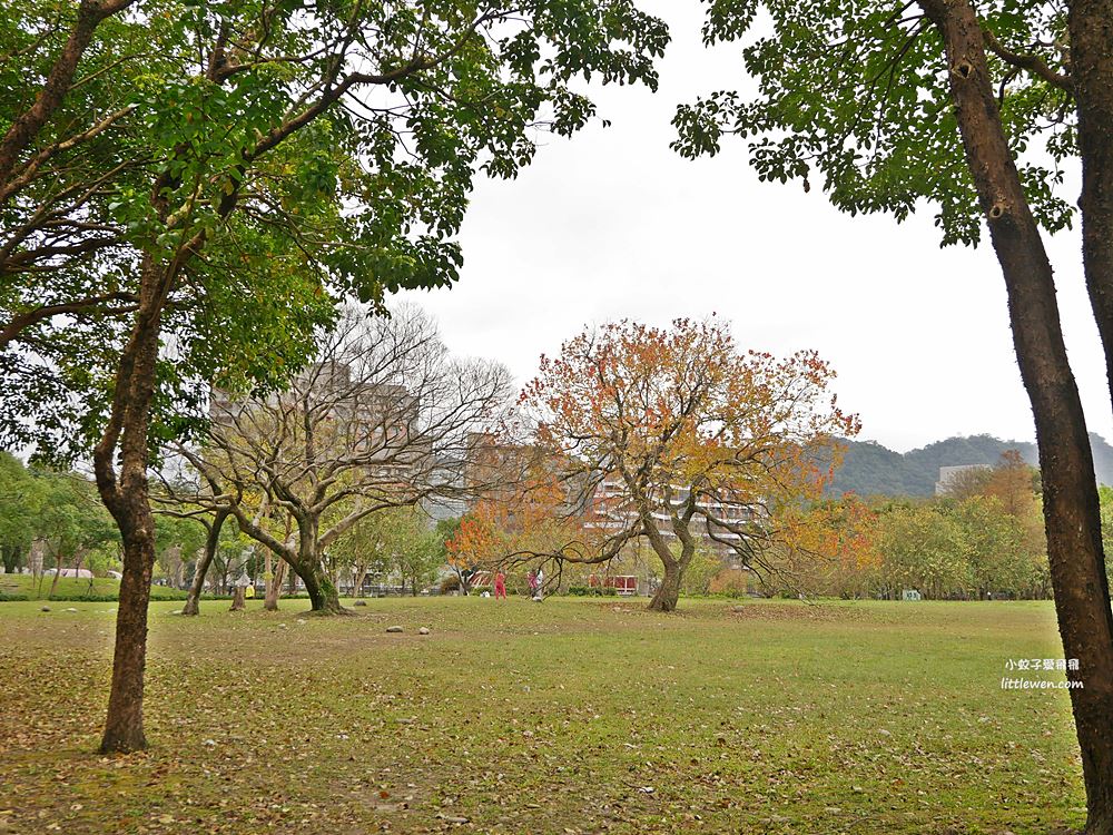 三峽賞櫻秘境｜三峽北大櫻花～臺北大學鳶飛大道、心湖櫻花林吉野櫻富士櫻河津櫻