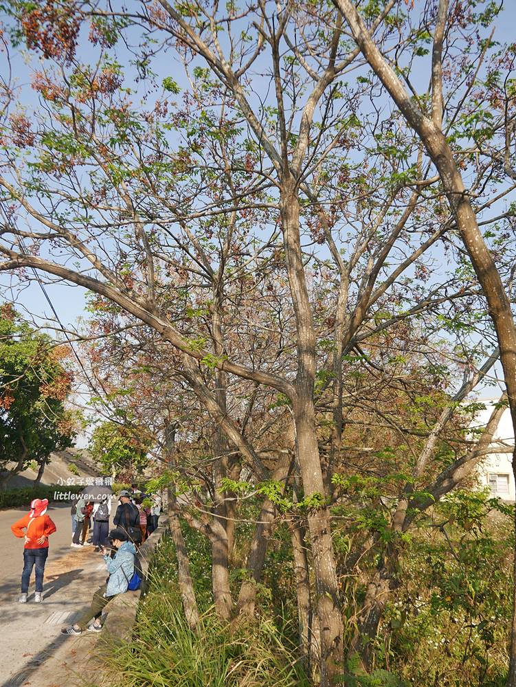 嘉義新港景點「板頭社區」最美鄉野藝術村剪黏交趾陶發源地