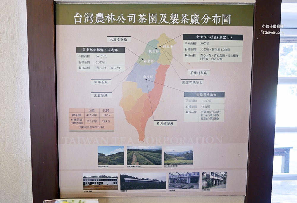 三峽景點「大寮茶文館」隱藏山林裡百年老茶場