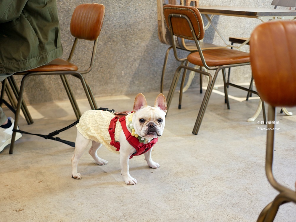 三峽咖啡「好適山坡GUHill」山林古厝，親子寵物都能跑跑很舒心的秘境咖啡館