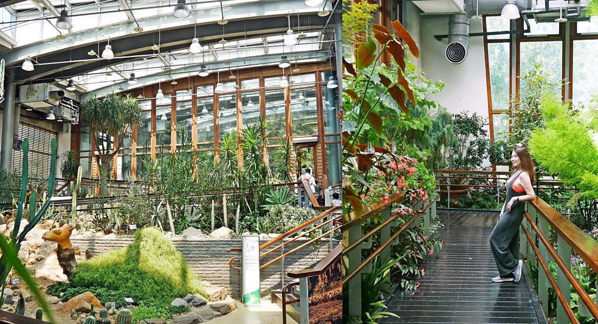 台北免費參觀「台北典藏植物園」種類最多展覽型植物溫室，多肉植物區好網美 @小蚊子愛飛飛