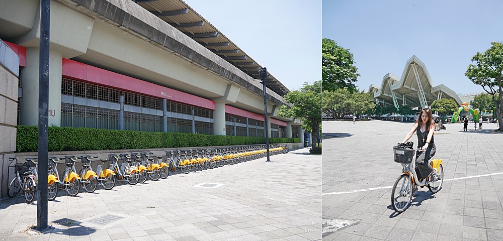 台北免費參觀「台北典藏植物園」種類最多展覽型植物溫室，多肉植物區好網美