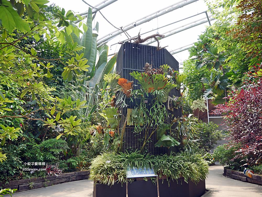 台北免費參觀「台北典藏植物園」種類最多展覽型植物溫室，多肉植物區好網美