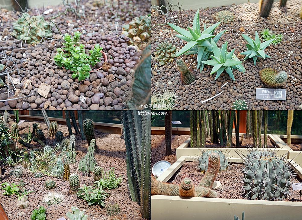 「臺北典藏植物園」六大主題展區500多種植物免費參觀