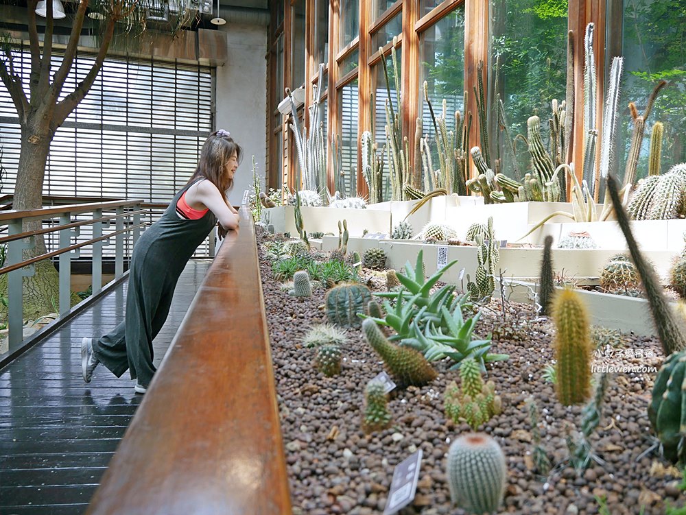 台北免費參觀「台北典藏植物園」種類最多展覽型植物溫室，多肉植物區好網美