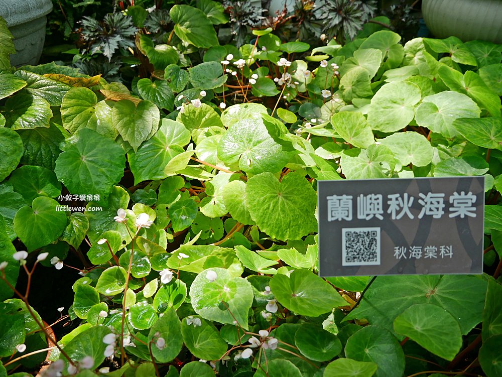 台北免費參觀「台北典藏植物園」種類最多展覽型植物溫室，多肉植物區好網美