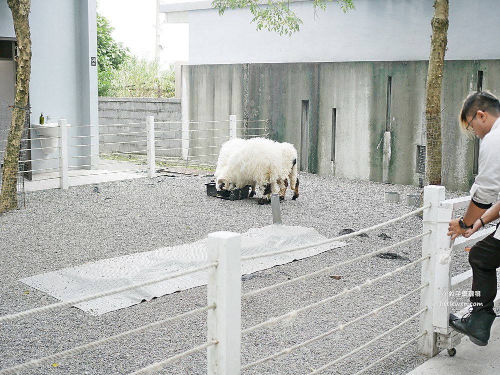 宜蘭「黑RURU CAFE」可以餵食笑笑羊熊貓羊田野景觀咖啡廳