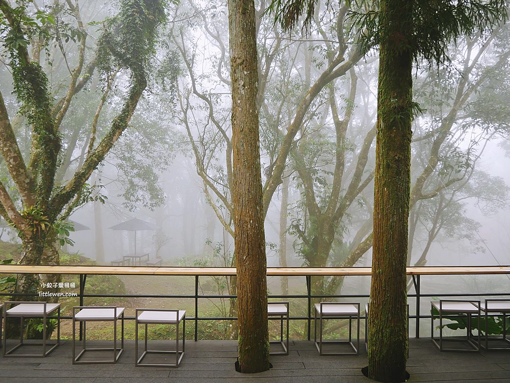 三峽禾煦熊空休閒農場 | 熊空茶園，充滿隱世感日式木屋櫻花亭&百年茶園杉林