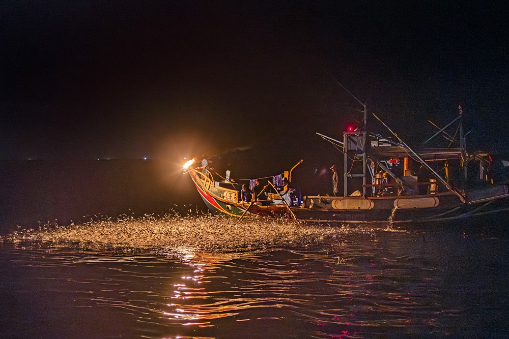 金山蹦火仔海上螢火蟲，百年傳統捕漁技法畫面震撼 @小蚊子愛飛飛