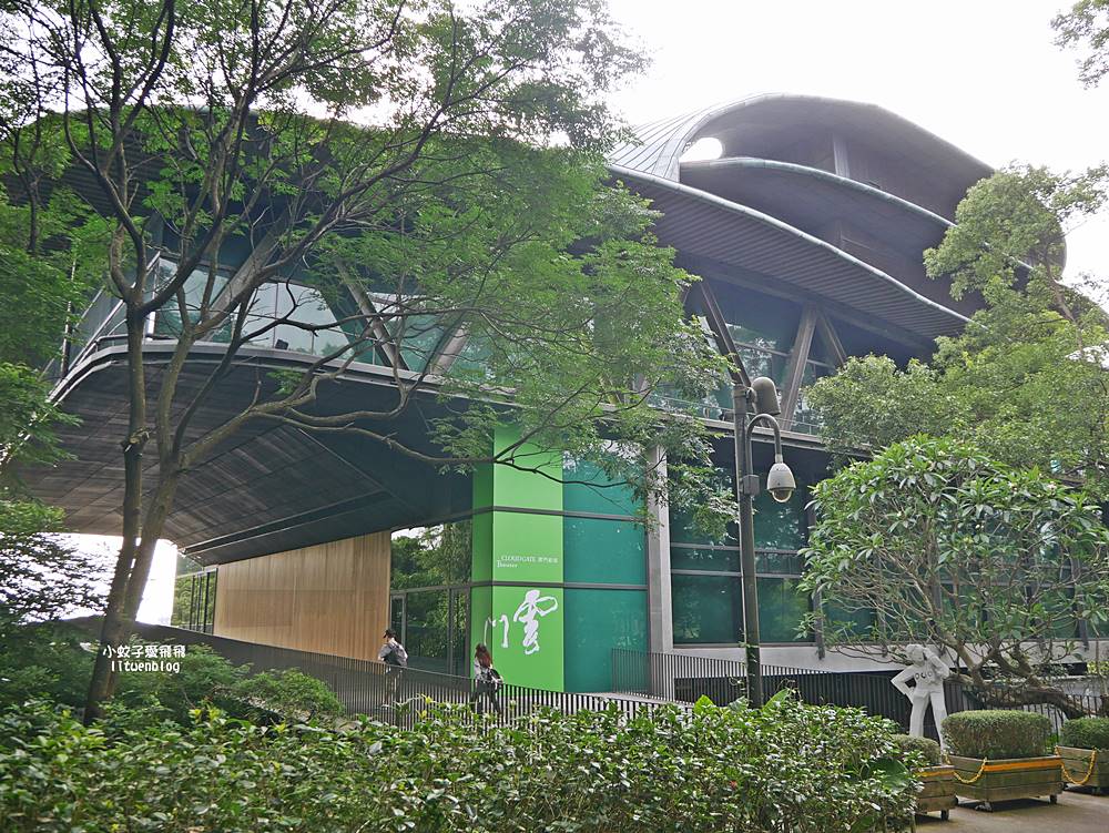 「星巴克淡水雲門門市」星巴克最富人文藝術森林系特色門市 「星巴克淡水雲門門市」星巴克最富人文藝術森林系特色門市