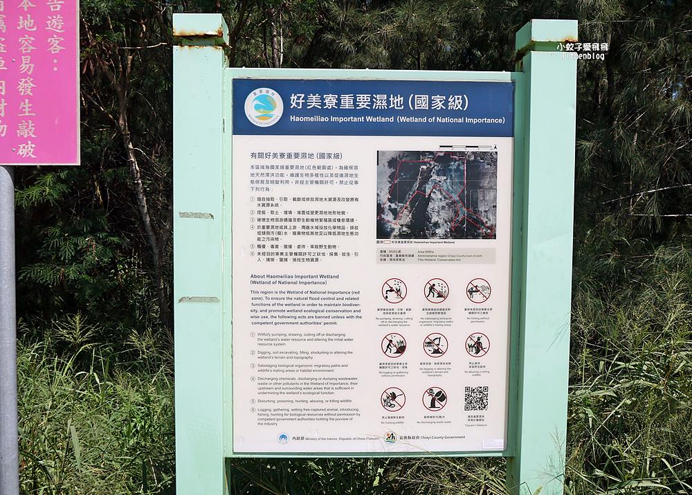 嘉義布袋好美寮自然保護區好美寮濕地，天空之鏡水漾森林體驗下海挖蛤蜊