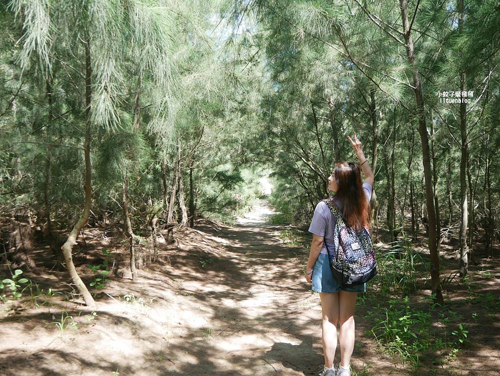 嘉義布袋好美寮自然保護區好美寮濕地，天空之鏡水漾森林體驗下海挖蛤蜊