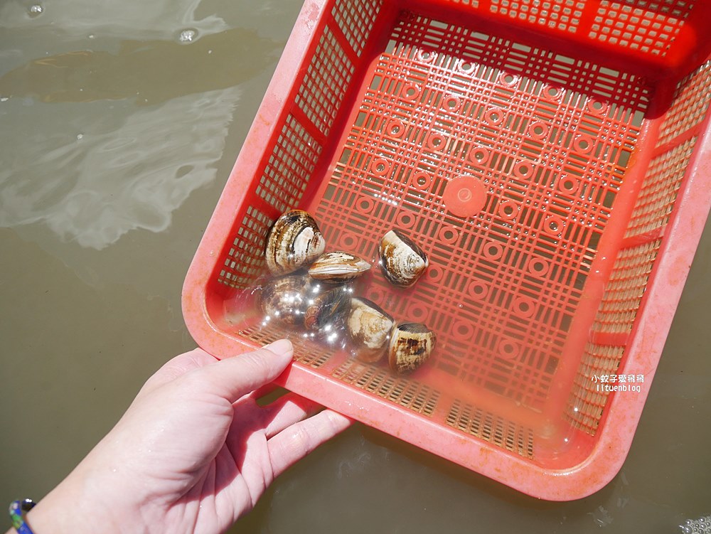 嘉義布袋好美寮自然保護區好美寮濕地，天空之鏡水漾森林體驗下海挖蛤蜊