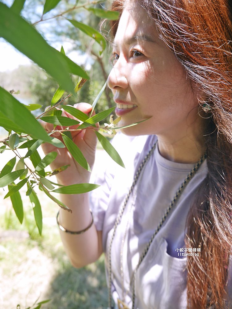 嘉義布袋好美寮自然保護區好美寮濕地，天空之鏡水漾森林體驗下海挖蛤蜊