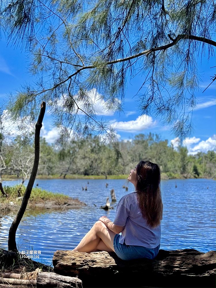 嘉義布袋好美寮自然保護區好美寮濕地，天空之鏡水漾森林體驗下海挖蛤蜊