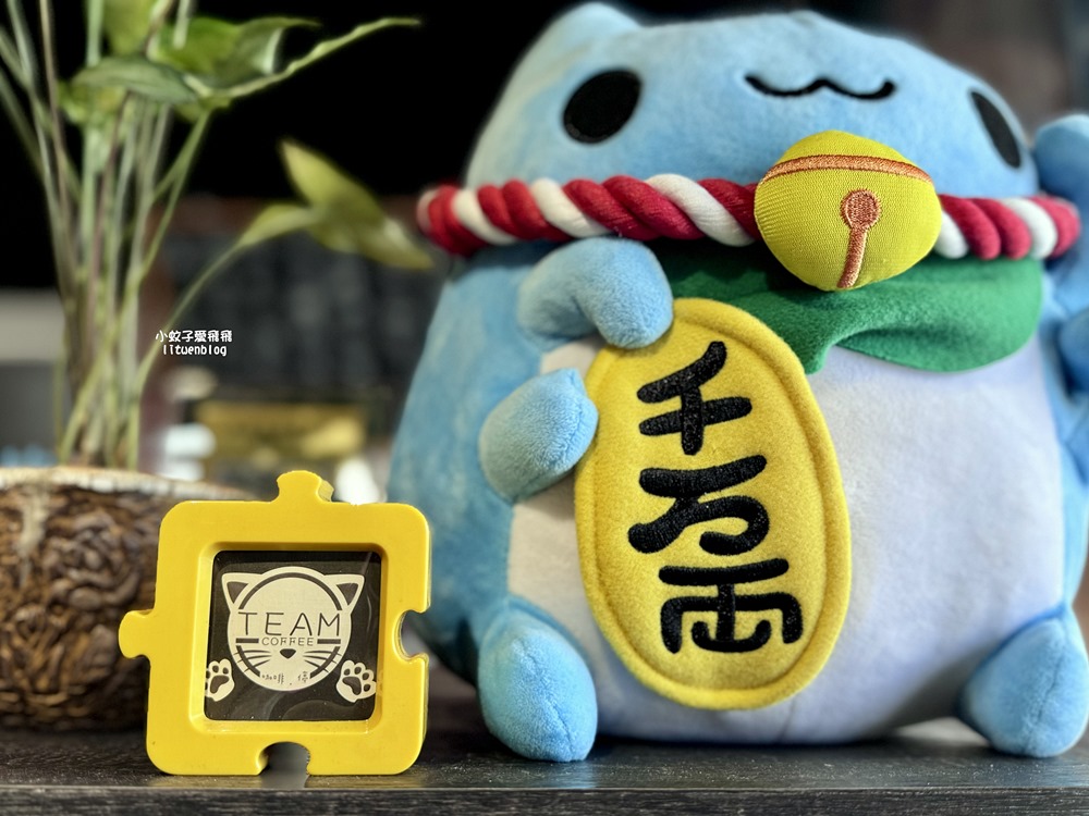 三峽咖啡「Team Coffee咖啡。停」老街旁的三合院內有可愛貓咪相陪