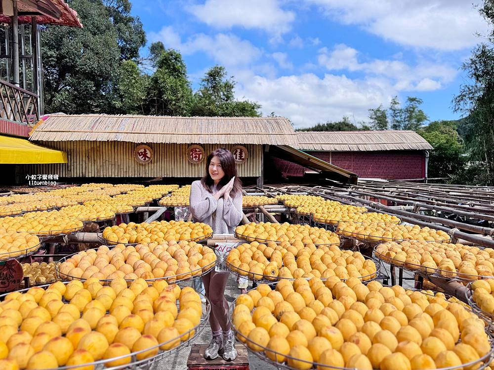 「味衛佳柿餅教育農園」秋冬限定曬杮餅美拍免門票，杮子冰棒香甜爽口