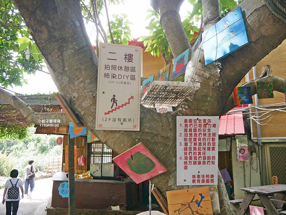 「味衛佳柿餅教育農園」秋冬限定曬杮餅美拍免門票，杮子冰棒香甜爽口