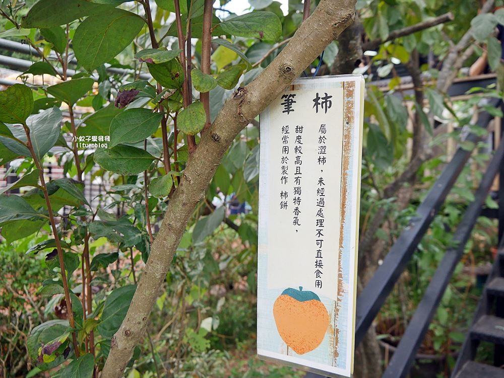 越來越懂柿「金漢杮餅教育農園」免費參觀拍照曬杮子光影超美