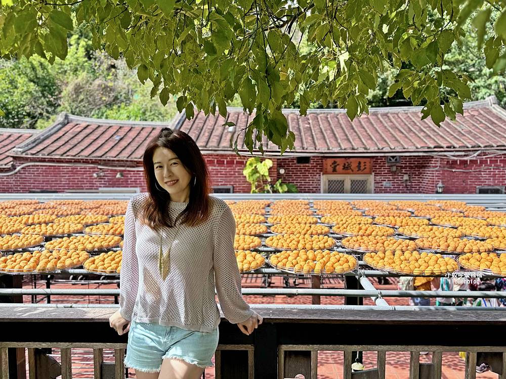 越來越懂柿「金漢杮餅教育農園」免費參觀拍照曬杮子光影超美