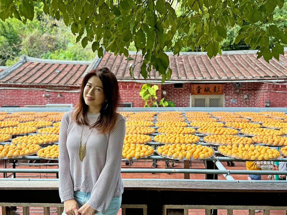 越來越懂柿「金漢杮餅教育農園」免費參觀拍照曬杮子光影超美