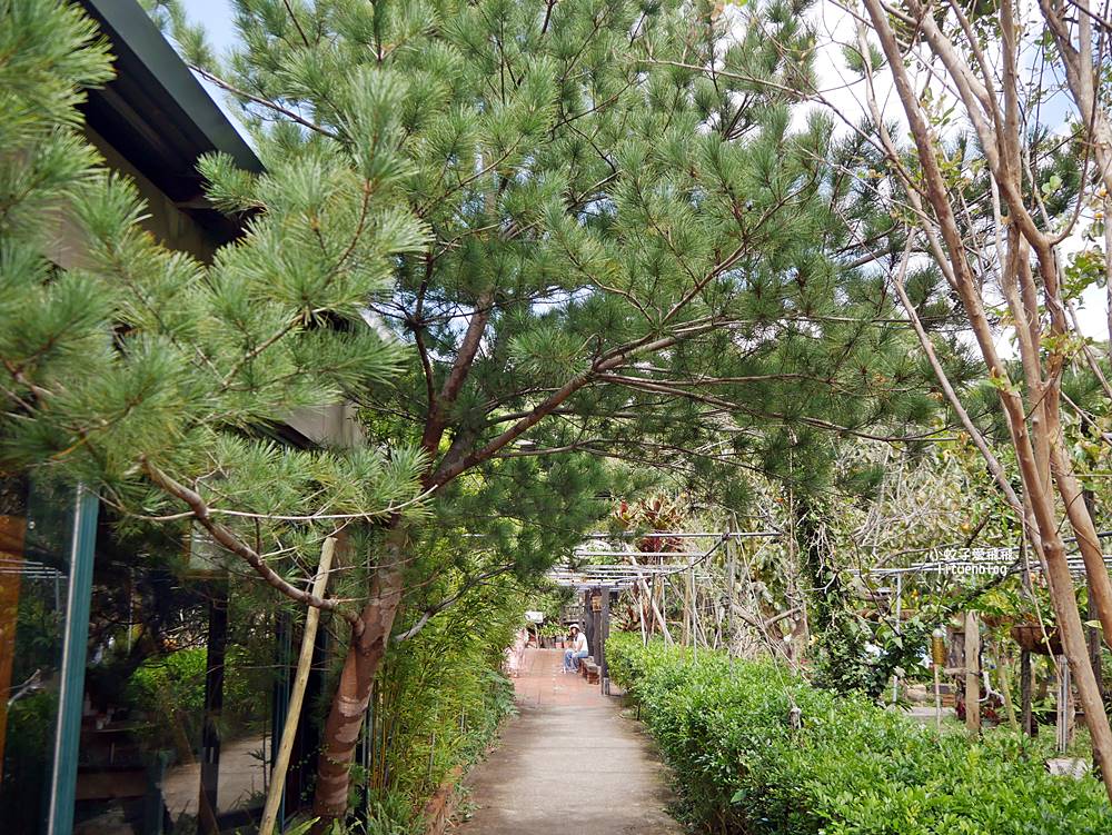 越來越懂柿「金漢杮餅教育農園」免費參觀拍照曬杮子光影超美