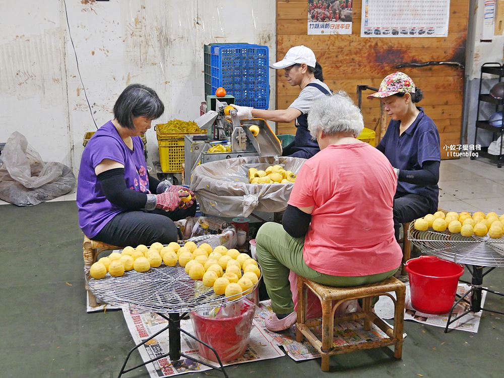 越來越懂柿「金漢杮餅教育農園」免費參觀拍照曬杮子光影超美