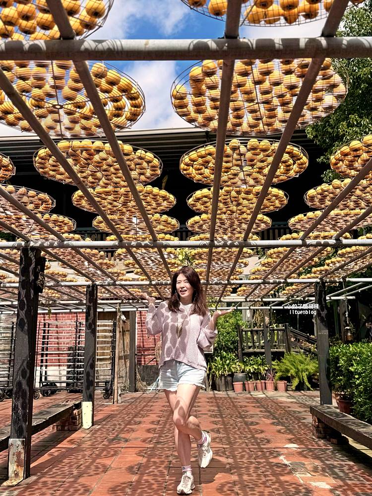越來越懂柿「金漢杮餅教育農園」免費參觀拍照曬杮子光影超美