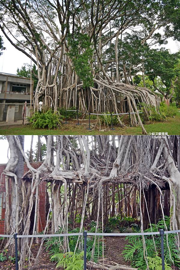 「國家漫畫博物館」台灣漫畫產業創意發展基地，超過千本以上漫畫收藏免費看