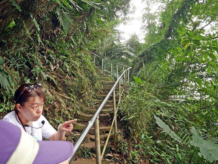 三峽景點一日遊~鳶山彩壁、谷芳有機茶園手作體驗、逛老街特色咖啡廳 三峽景點一日遊~鳶山彩壁、谷芳有機茶園手作體驗、逛老街特色咖啡廳