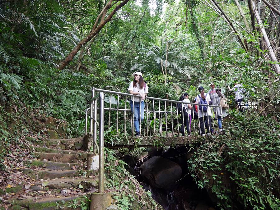 三峽景點一日遊~鳶山彩壁、谷芳有機茶園手作體驗、逛老街特色咖啡廳 三峽景點一日遊~鳶山彩壁、谷芳有機茶園手作體驗、逛老街特色咖啡廳
