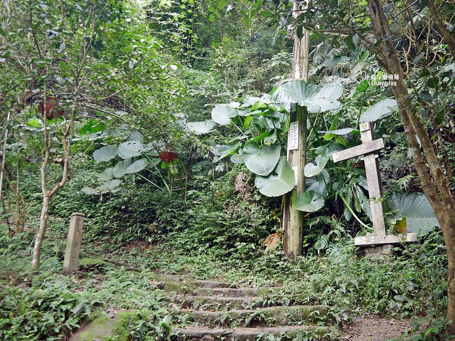 三峽景點一日遊~鳶山彩壁、谷芳有機茶園手作體驗、逛老街特色咖啡廳 三峽景點一日遊~鳶山彩壁、谷芳有機茶園手作體驗、逛老街特色咖啡廳