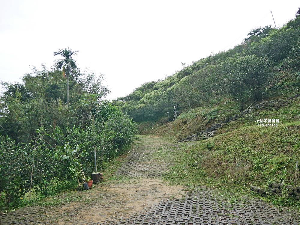 三峽景點一日遊~鳶山彩壁、谷芳有機茶園手作體驗、逛老街特色咖啡廳 三峽景點一日遊~鳶山彩壁、谷芳有機茶園手作體驗、逛老街特色咖啡廳