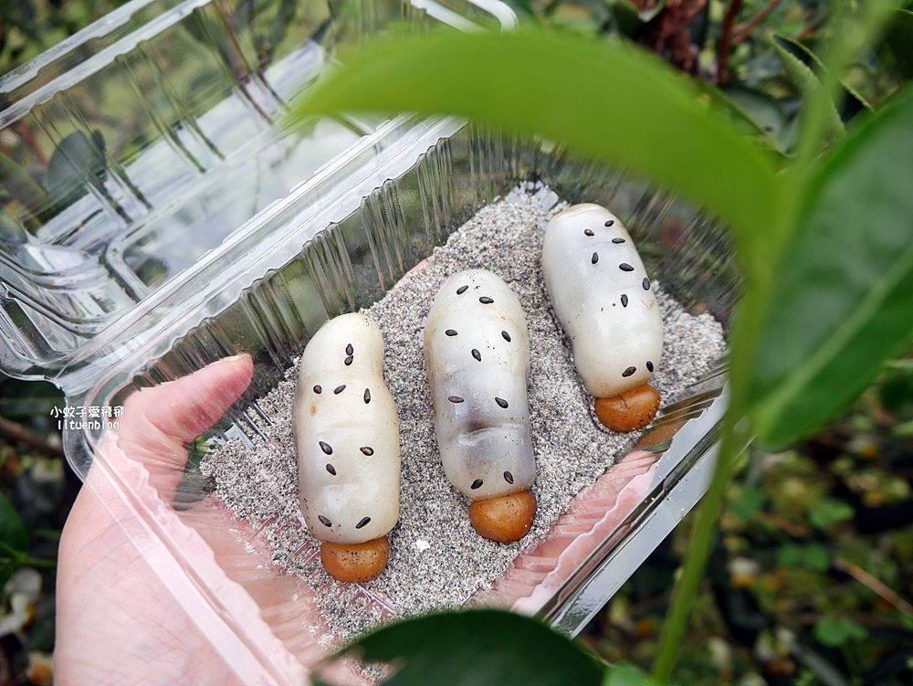 三峽景點一日遊～鳶山彩壁、谷芳有機茶園手作體驗、逛老街特色咖啡廳