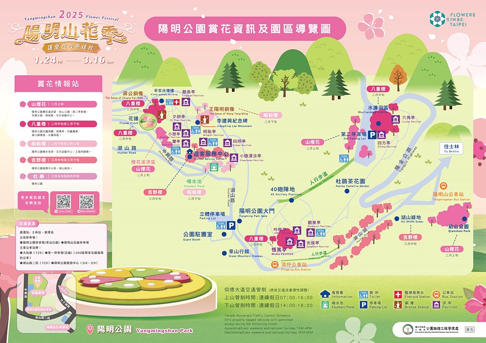 陽明山前山公園&教師研習中心櫻花已開,日式造景很仙 陽明山前山公園&教師研習中心櫻花已開,日式造景很仙