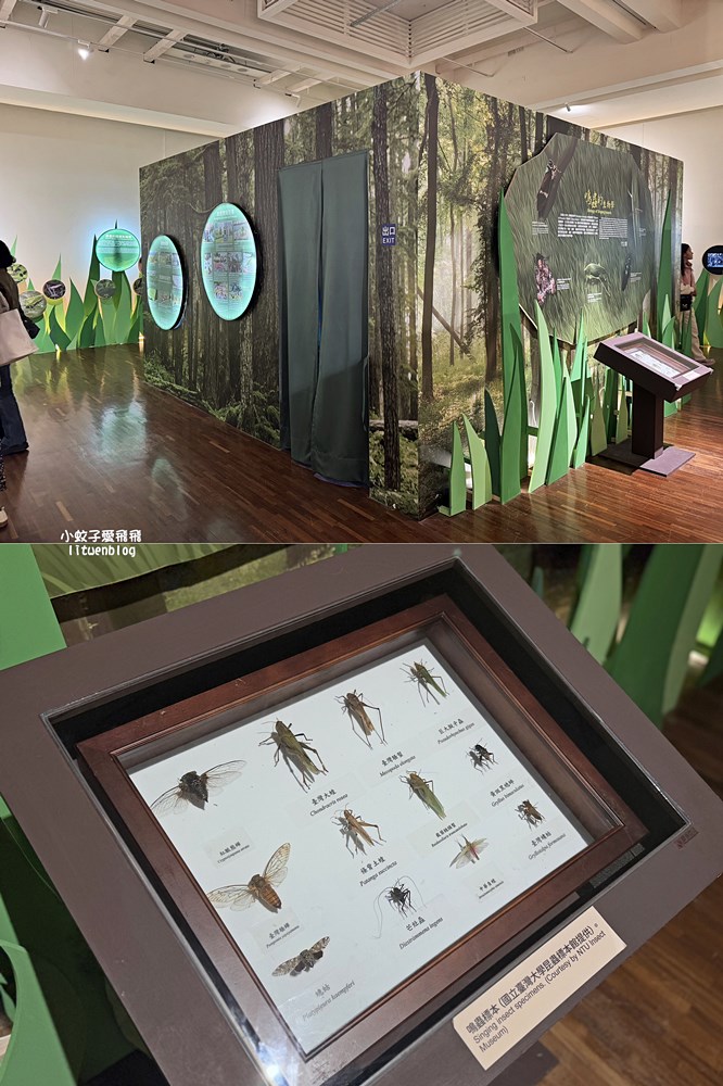 台北親子景點「國立臺灣博物館」門票30元一票逛兩館展區介紹