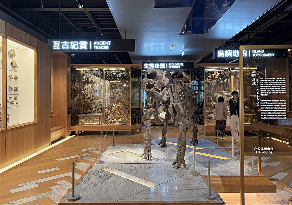 台北親子景點「國立臺灣博物館」門票30元一票逛兩館展區介紹
