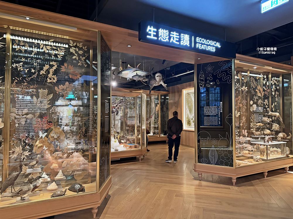 台北親子景點「國立臺灣博物館」門票30元一票逛兩館展區介紹