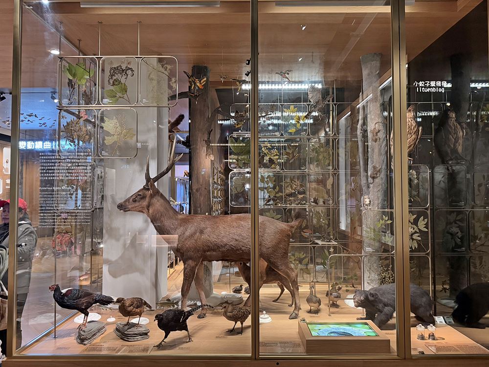 台北親子景點「國立臺灣博物館」門票30元一票逛兩館展區介紹