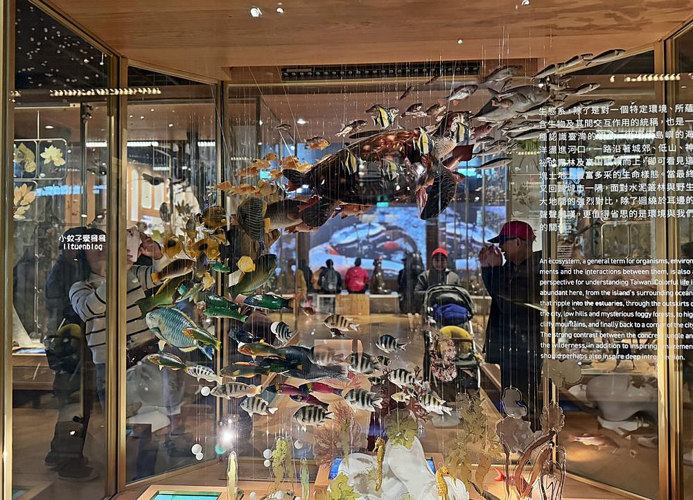 台北親子景點「國立臺灣博物館」門票30元一票逛兩館展區介紹