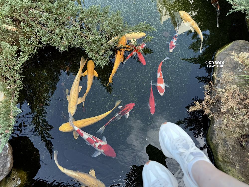 靜心苑｜松山療養所所長宿舍僻靜百年古蹟，見證台灣肺結核療養歷史