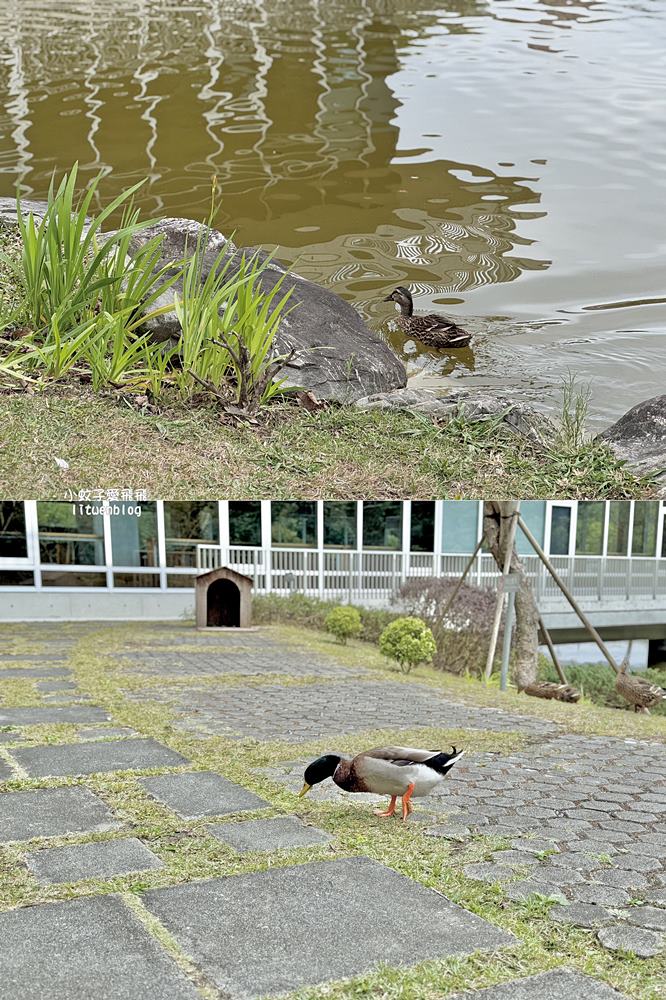 木柵「廢墟咖啡湖村店」校園內湖畔沉浸式咖啡廳
