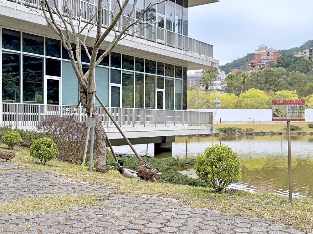 政治大學「達賢圖書館」湖濱山景校園&超絕美圖書館